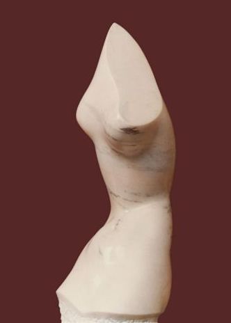 torso femminile rosa